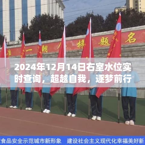 超越自我，逐梦前行，揭秘右室水位实时查询背后的励志故事，2024年右室水位实时查询新篇章开启！