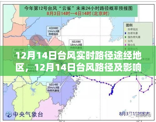 12月14日台风路径实时更新，风暴中的力量与时代印记