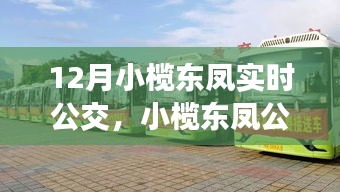 冬日暖心公交之旅，小榄东凤实时公交日常