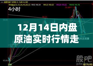 12月14日内盘原油实时行情深度解析及走势预测