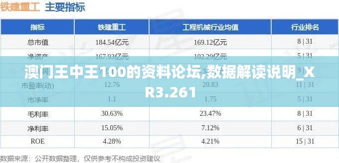 澳门王中王100的资料论坛,数据解读说明_XR3.261