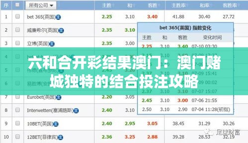 六和合开彩结果澳门：澳门赌城独特的结合投注攻略