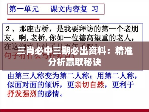 三肖必中三期必出资料：精准分析赢取秘诀