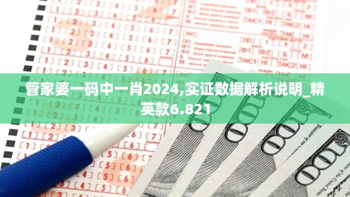 管家婆一码中一肖2024,实证数据解析说明_精英款6.821