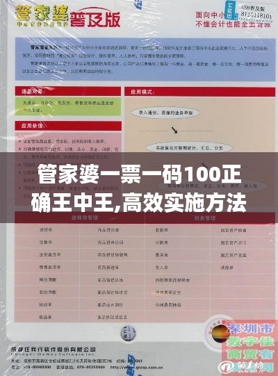 管家婆一票一码100正确王中王,高效实施方法解析_DP4.615