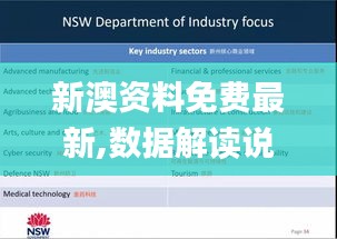 新澳资料免费最新,数据解读说明_CT10.676