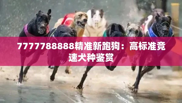 7777788888精准新跑狗：高标准竞速犬种鉴赏