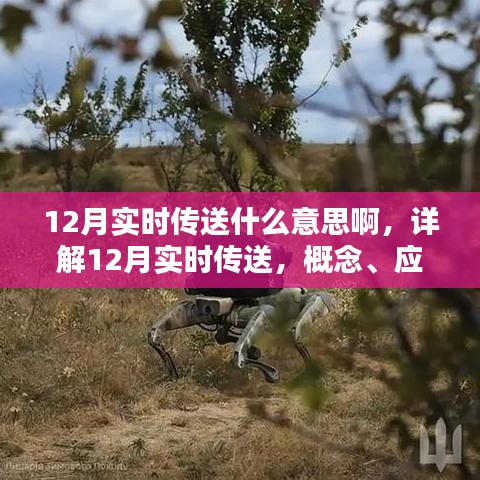 详解，12月实时传送的概念、应用与操作指南