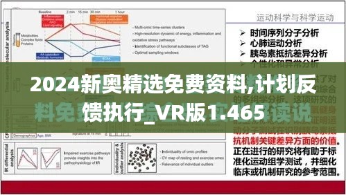 2024新奥精选免费资料,计划反馈执行_VR版1.465