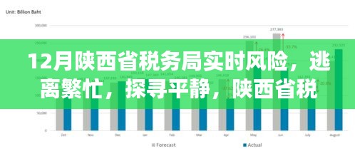 陕西省税务局风险下的自然之旅，逃离繁忙，探寻平静