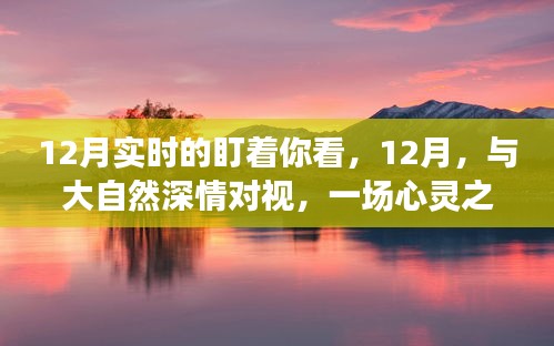 12月心灵之旅，深情凝视大自然，与自然的深情对话