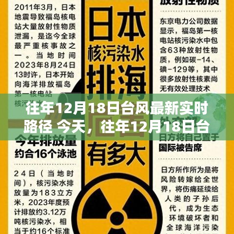 往年12月18日台风实时路径分析，产品评测与用户群体洞察