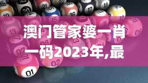 澳门管家婆一肖一码2023年,最新解读与分析_钱包版3.599