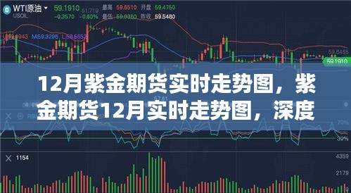 深度解析与观点阐述，紫金期货12月实时走势图全面解读