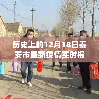 泰安疫情下的暖心瞬间，爱与陪伴的日常故事——实时疫情报告与回顾历史时刻