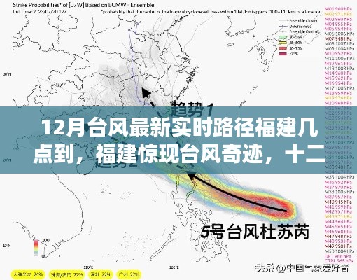 福建惊现十二月台风奇迹，最新实时路径与深远影响分析