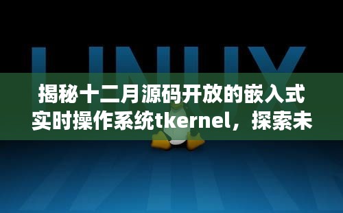 揭秘tkernel，嵌入式实时操作系统源码开放，开启未来技术新篇章