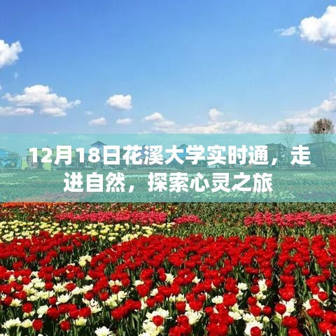 花溪大学实时通，走进自然，心灵探索之旅