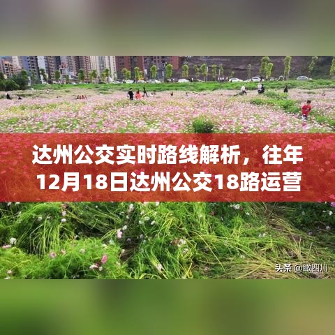 达州公交实时路线解析，达州公交18路运营纪实回顾