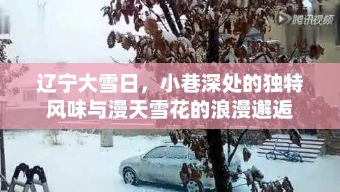 辽宁雪日下的浪漫邂逅，小巷风味与漫天雪花的交织