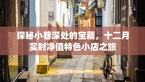 探秘十二月小巷深处的宝藏，净值特色小店之旅