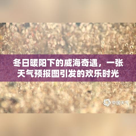 冬日威海奇遇，暖阳与天气预报图的欢乐时光