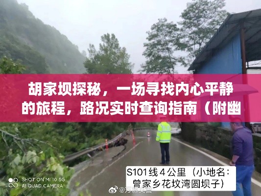 胡家坝探秘之旅，路况实时查询指南，寻找内心平静的旅程（附幽默元素）