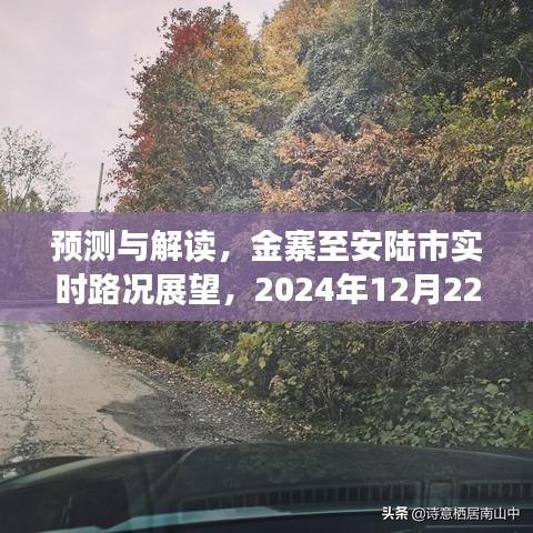 金寨至安陆市实时路况预测与解读，最新动态报告（2024年12月22日）