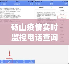 砀山疫情实时监控电话查询指南，如何获取并确认特定日期的电话信息（附日期，2024年12月22日）