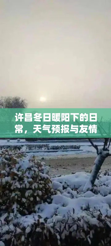 许昌冬日暖阳下的日常，天气与友情的双重播报