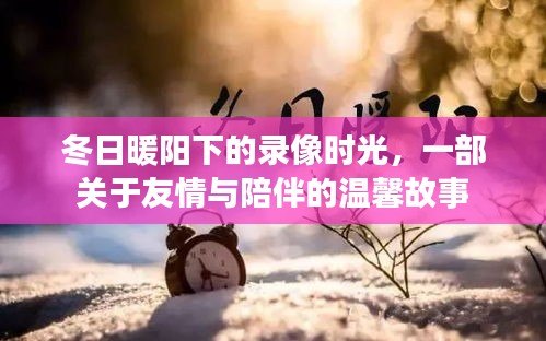 冬日暖阳下的友情时光，一部关于陪伴的温馨录像故事