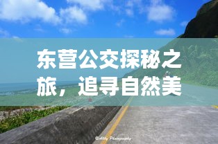 东营公交探秘之旅，追寻自然美景，心灵宁静之旅