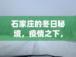 石家庄冬日秘境，疫情下的自然之旅与心灵绿洲探索