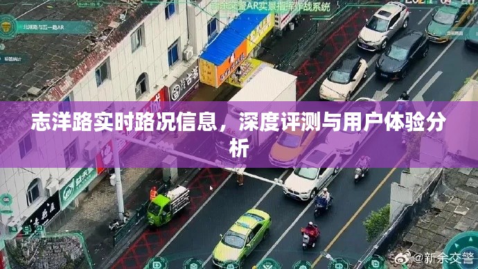 志洋路实时路况深度评测与用户体验报告