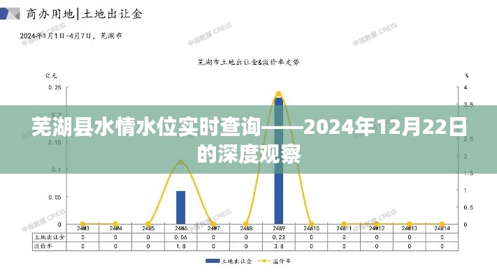 芜湖县水情水位实时查询报告，深度观察2024年12月22日数据