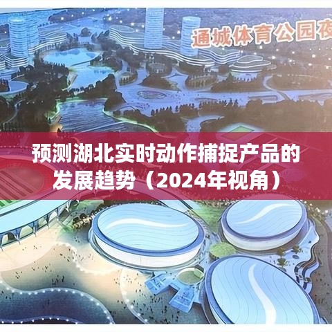 湖北实时动作捕捉产品发展趋势预测（2024年视角分析）