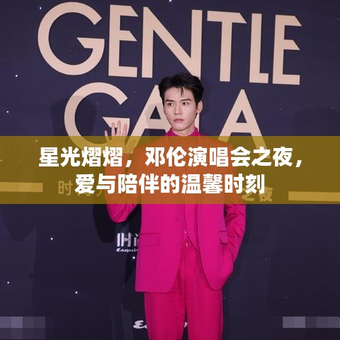 邓伦演唱会之夜，星光下的爱与陪伴