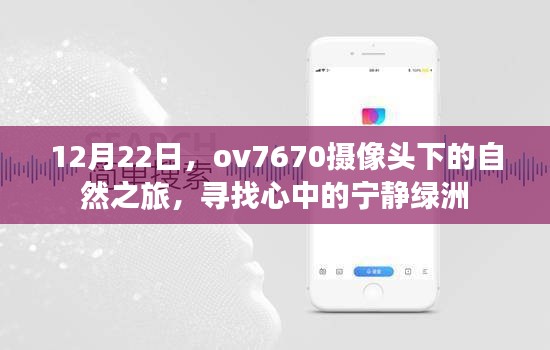 12月22日ov7670摄像头下的自然探索，寻找内心的宁静绿洲