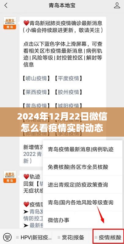 微信查看疫情实时动态指南，2024年12月22日更新