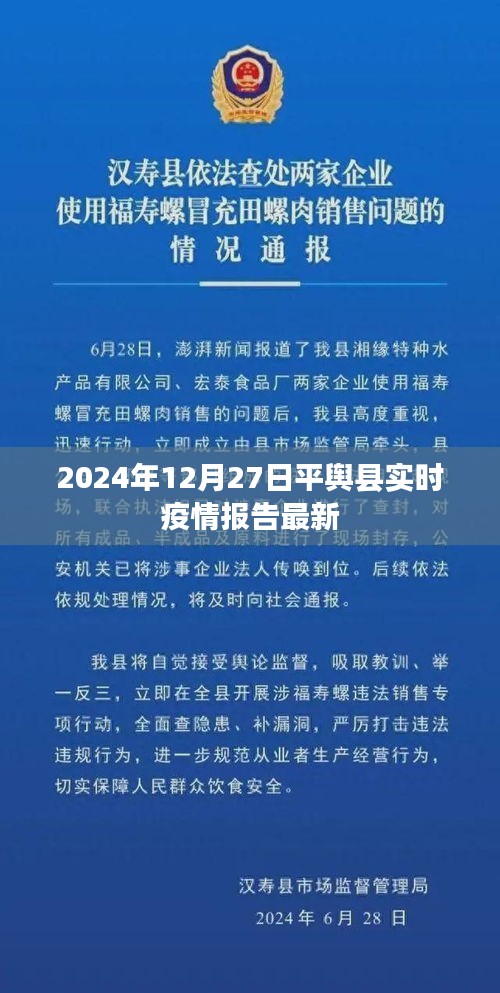 平舆县最新实时疫情报告更新（日期，XXXX年XX月XX日）