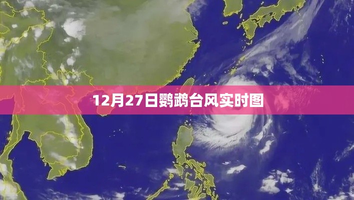 鹦鹉台风最新实时动态图（12月27日）