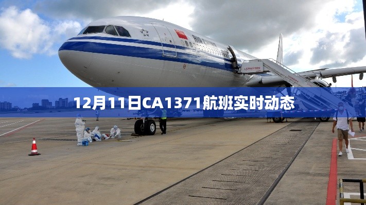 CA1371航班12月11日实时动态查询