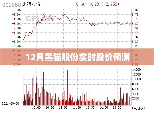 黑猫股份实时股价预测分析