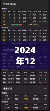 关于网贷人行卡个人实时数据的解读（2024年12月）