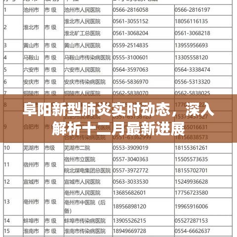 阜阳新型肺炎最新进展，十二月实时动态解析