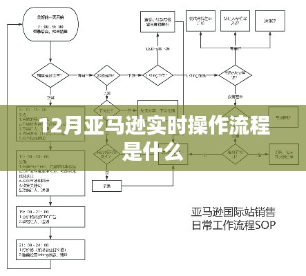 亚马逊十二月实时操作指南