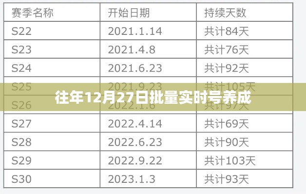 实时号批量养成攻略，往年12月27日经验分享