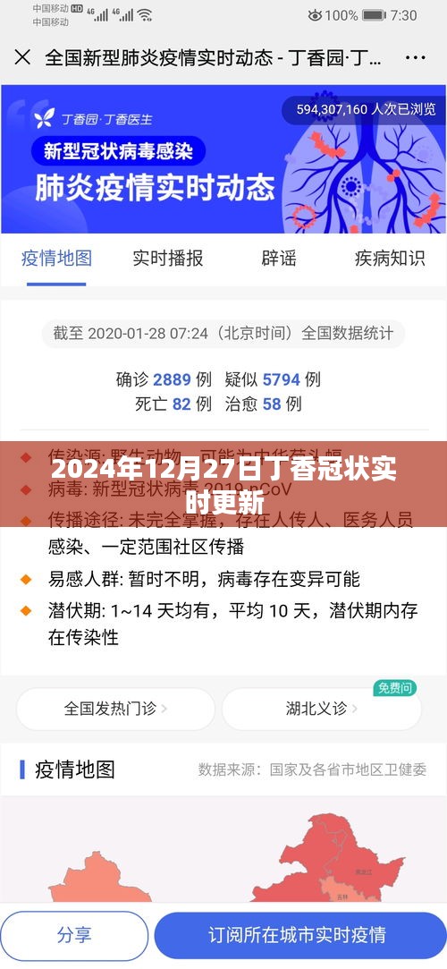 丁香冠状病毒实时更新报告，最新动态与数据分析