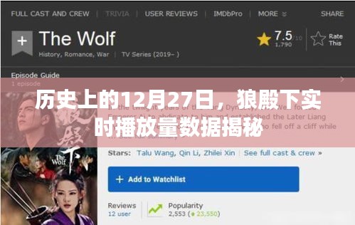 狼殿下实时播放量揭秘，历史数据回顾与深度分析