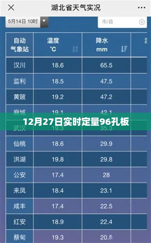 实时定量PCR检测，96孔板实验操作指南